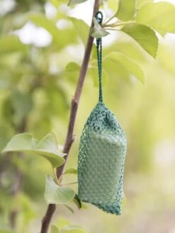 Deer No No, Set Of 6