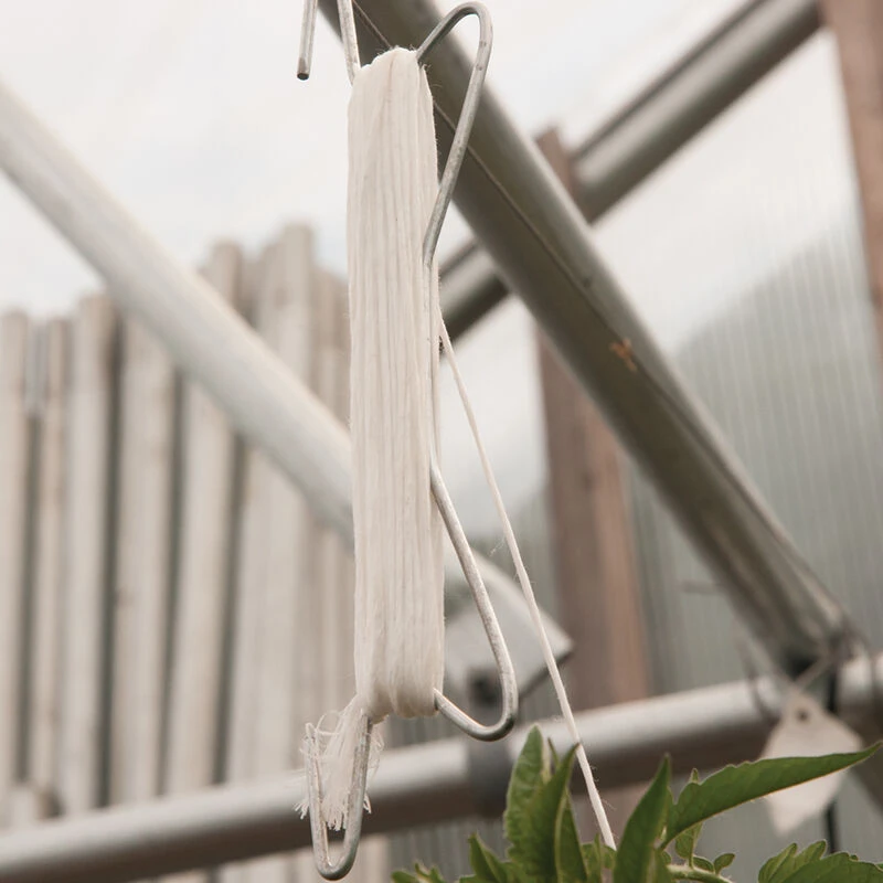 Tomahook – 323 Count 1 Tomahook – 323 Count