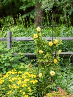 Jardin Round Obelisk, 7' 7 Jardin Round Obelisk, 7' -Garden Care Shop 39 530 1668 tif