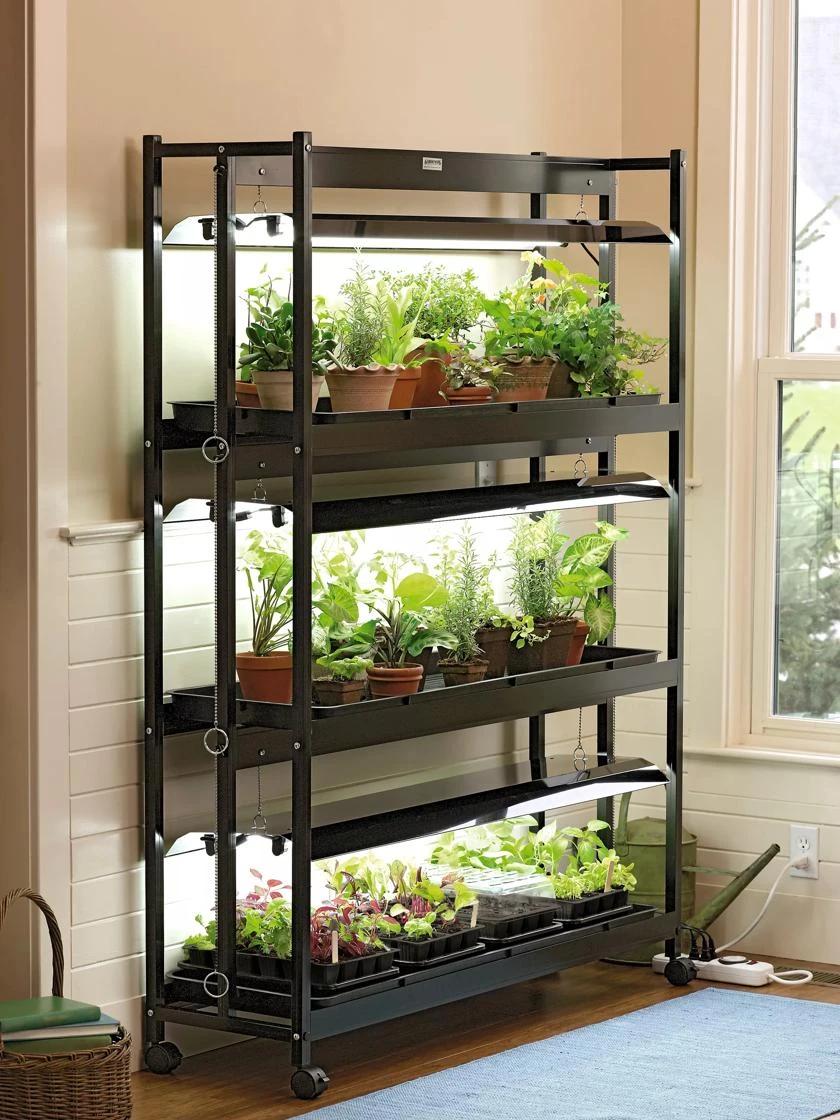 Garden Care Shop -Garden Care Shop 39357 004 grow lights with three shelves large tif