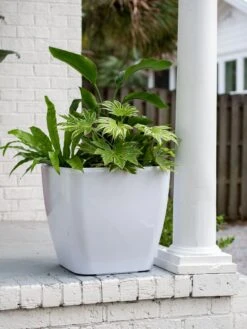 Viva Square Self-Watering Rolling Planter, 20" Diameter, Set Of 2 -Garden Care Shop 3 4 crop 8612930 0033 tif