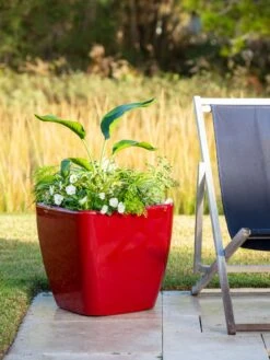 Viva Square Self-Watering Rolling Planter, 20" Diameter, Set Of 2 -Garden Care Shop 3 4 crop 8612930 0035 tif