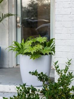 Viva Round Self-Watering Rolling Planter, 20" Diameter, Set Of 2 15 Viva Round Self-Watering Rolling Planter, 20" Diameter, Set Of 2 -Garden Care Shop 3 4 crop 8612933 0025 tif