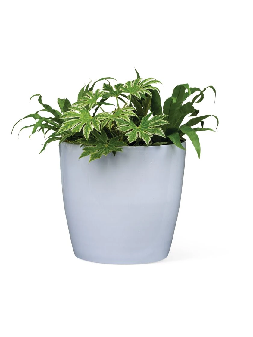 Viva Round Self-Watering Rolling Planter, 20" Diameter, Set Of 2 6 Viva Round Self-Watering Rolling Planter, 20" Diameter, Set Of 2 - Image 6