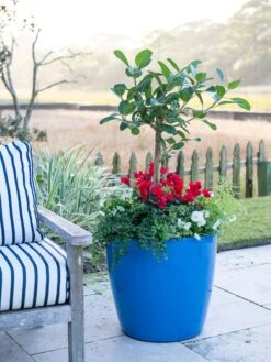 Viva Round Self-Watering Rolling Planter, 20" Diameter, Set Of 2 16 Viva Round Self-Watering Rolling Planter, 20" Diameter, Set Of 2 -Garden Care Shop 3 4 crop 8612933 5312 tif