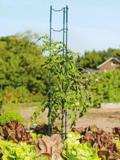 Stacking Tomato Ladders, Set Of 6 7 Stacking Tomato Ladders, Set Of 6 -Garden Care Shop 40309 100 tif