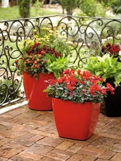 Viva Square Self-Watering Rolling Planter, 14" Diameter 6 Viva Square Self-Watering Rolling Planter, 14" Diameter -Garden Care Shop 8586699 982 tif