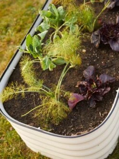 Birdies™ Modular Metal Raised Bed -Garden Care Shop 8586930 6019 tif