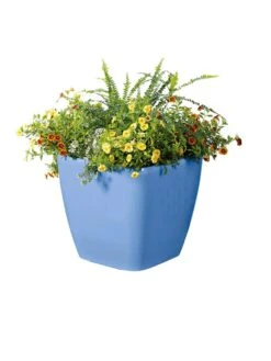 Viva Square Self-Watering Rolling Planter, 14" Diameter 7 Viva Square Self-Watering Rolling Planter, 14" Diameter -Garden Care Shop 8589777BL 6080 tif