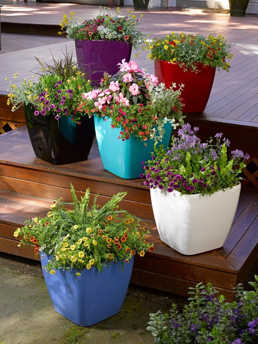 Viva Square Self-Watering Rolling Planter, 14" Diameter 1 Viva Square Self-Watering Rolling Planter, 14" Diameter