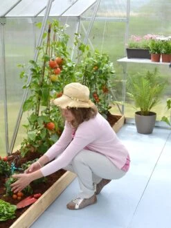 Canopia® By Palram Essence™ Greenhouse, 8' X 12' 16 Canopia® By Palram Essence™ Greenhouse, 8' X 12' -Garden Care Shop 8591356 04V tif