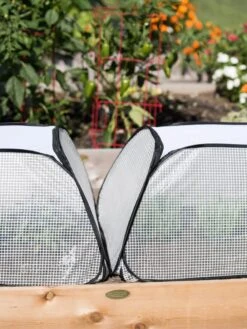 Row Shelter Accelerator 10 Row Shelter Accelerator -Garden Care Shop 8591990 2199 tif