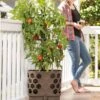 Gardener's Revolution® Tomato Planter