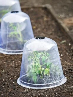 Large Garden Cloches, Set Of 3 5 Large Garden Cloches, Set Of 3 -Garden Care Shop 8593984 9432 tif