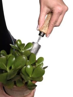 Gardener's Lifetime Mini Trowel -Garden Care Shop 8594146 0111 tif