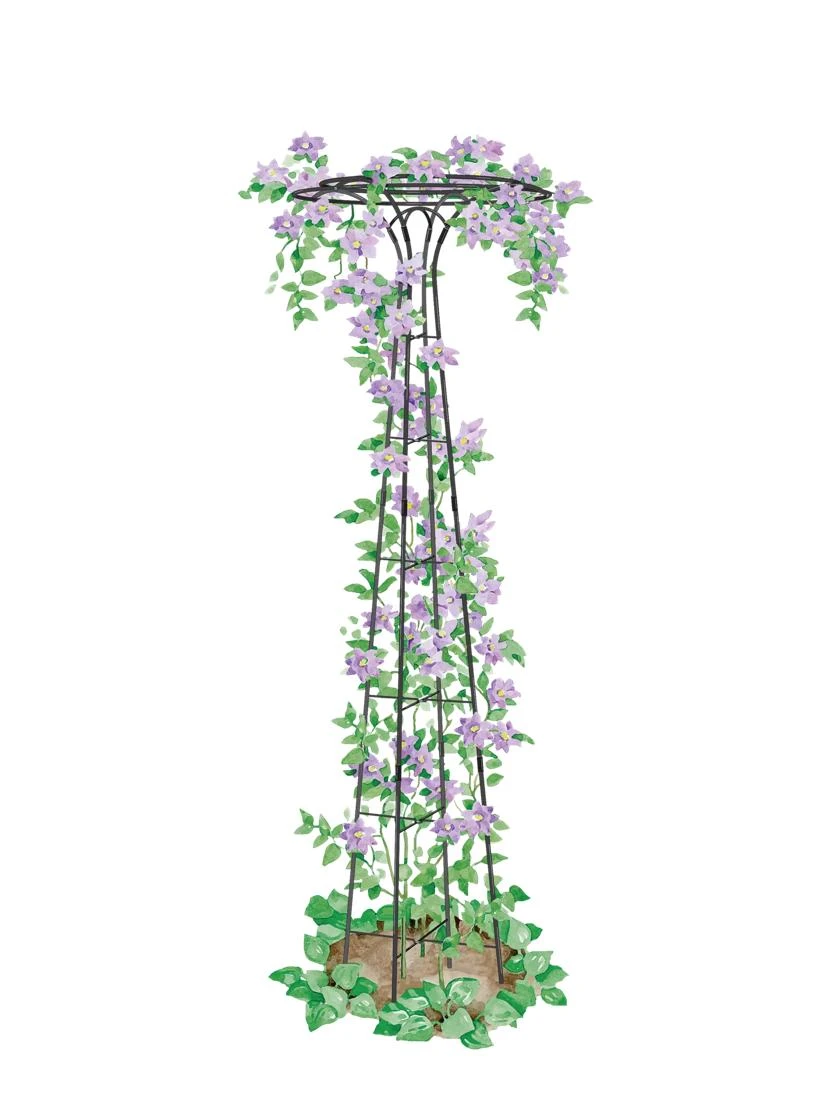 Essex Tuteur, 63" 1 Essex Tuteur, 63"