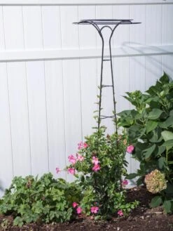 Essex Tuteur, 63" 8 Essex Tuteur, 63" -Garden Care Shop 8594162 0023 tif