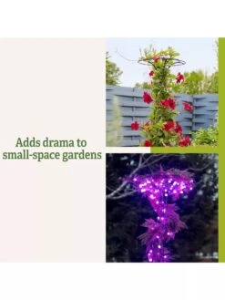 Essex Tuteur, 63" 11 Essex Tuteur, 63" -Garden Care Shop 8594162 3