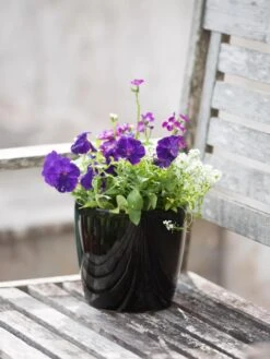 Viva Round Self-Watering Planter, 7" Diameter -Garden Care Shop 8595222 1140 tif