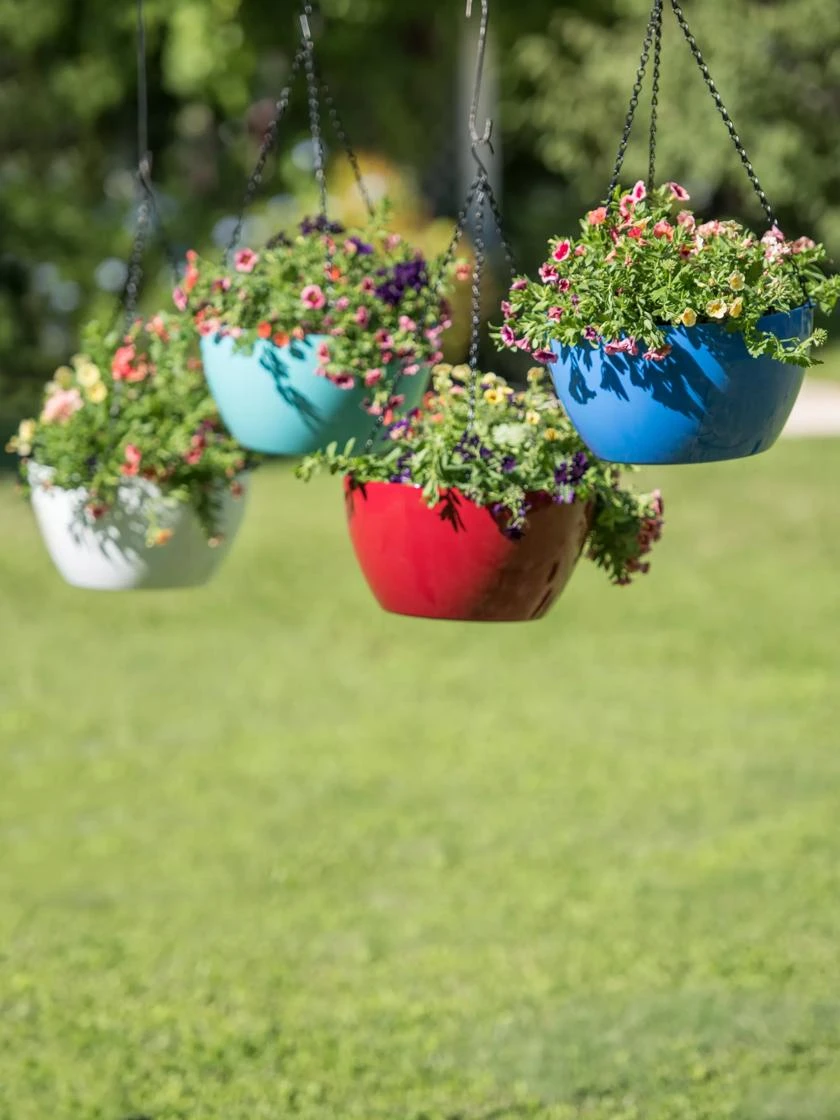 Viva Self-Watering Hanging Basket, 14" Diameter 1 Viva Self-Watering Hanging Basket, 14" Diameter