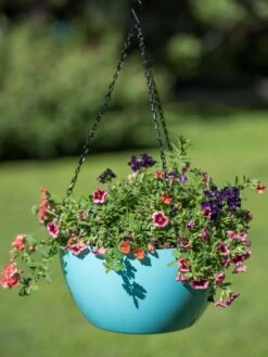 Viva Self-Watering Hanging Basket, 14" Diameter 8 Viva Self-Watering Hanging Basket, 14" Diameter -Garden Care Shop 8596442 0859 tif