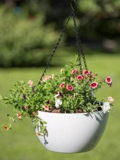 Viva Self-Watering Hanging Basket, 14" Diameter 7 Viva Self-Watering Hanging Basket, 14" Diameter -Garden Care Shop 8596442 0864 tif