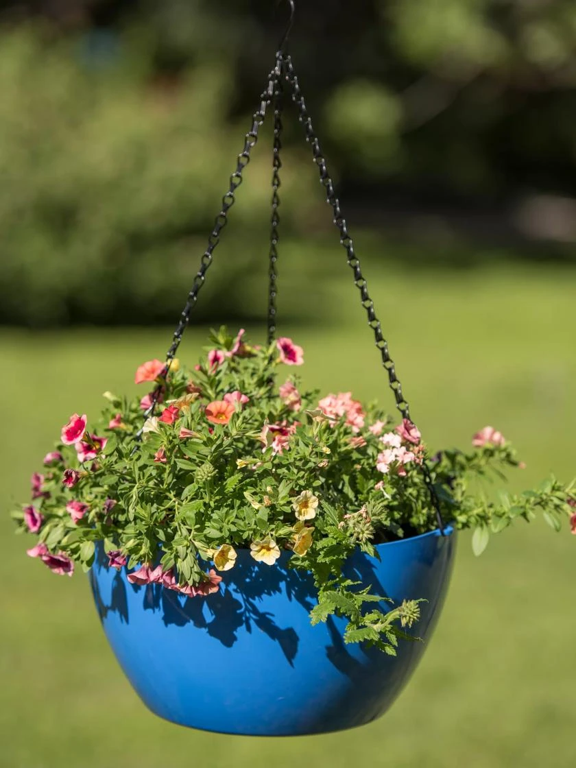 Viva Self-Watering Hanging Basket, 14" Diameter 5 Viva Self-Watering Hanging Basket, 14" Diameter - Image 5