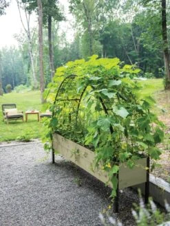 Self-Watering Elevated Planter Box, 2' X 8' -Garden Care Shop 8596760 0046 tif