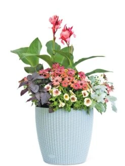 Weave Self-Watering Round Planter, 14" -Garden Care Shop 8597388 2175 tif