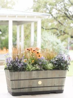 VegTrug™ Trough Planters -Garden Care Shop 8598402 08880 tif