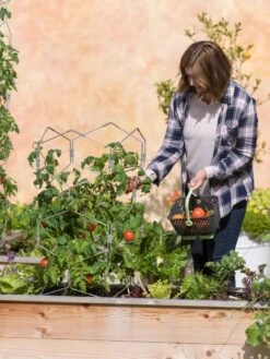 Gardener's Vertex Lifetime Tomato Cage -Garden Care Shop 8598426 0026 tif