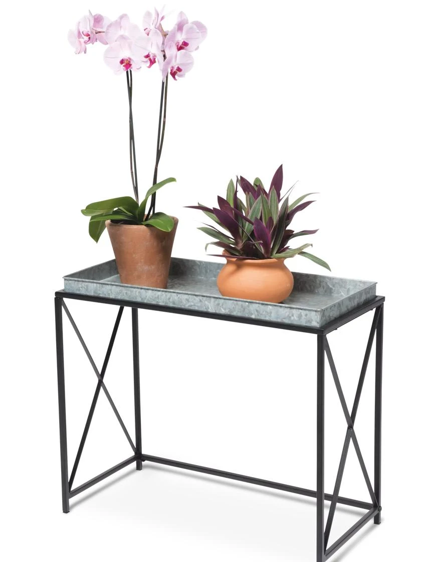 Plant Stand With Galvanized Tray 2 Plant Stand With Galvanized Tray - Image 2
