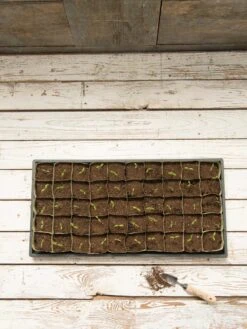 Paper Pots, 50 Cell -Garden Care Shop 8599830 18489 tif