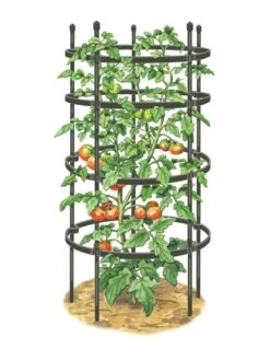 Titan Tomato Cages, Set Of 3 11 Titan Tomato Cages, Set Of 3 -Garden Care Shop 8599861 0001 art tif
