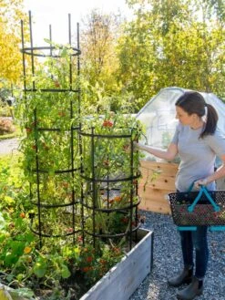 Titan Tomato Cages, Set Of 3 9 Titan Tomato Cages, Set Of 3 -Garden Care Shop 8599861 0114 tif