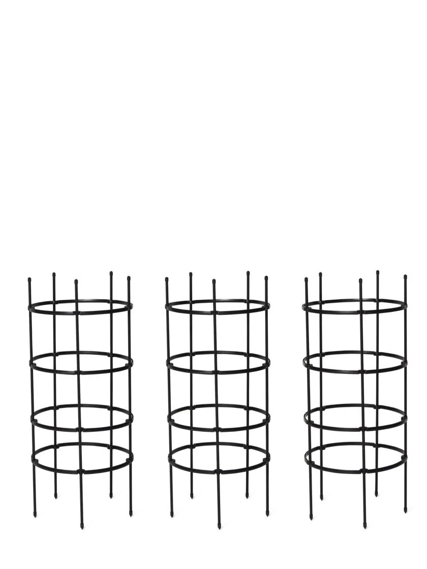 Titan Tomato Cages, Set Of 3 6 Titan Tomato Cages, Set Of 3 - Image 6