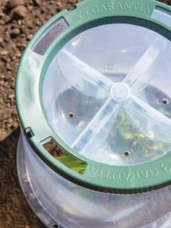 Sunny Forcing Cloches, Set Of 3 9 Sunny Forcing Cloches, Set Of 3 -Garden Care Shop 8600075 0742 tif