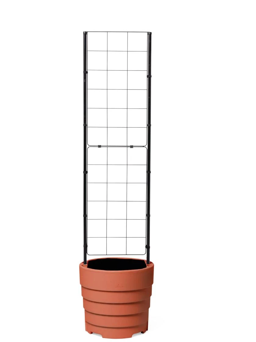 Gardener’s Victory Self-Watering Planter With Vine Trellis 7 Gardener’s Victory Self-Watering Planter With Vine Trellis - Image 7