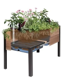 Self-Watering Elevated Planter Box, 2' X 8' -Garden Care Shop 8609009 SW insert art 2021 tif