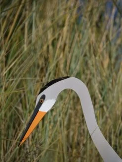 Florida Dancing Birds®, Great Blue Heron 5 Florida Dancing Birds®, Great Blue Heron -Garden Care Shop 8609451 03V jpg