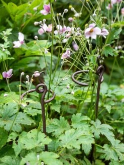 Arden Single Stem Supports, Set Of 2