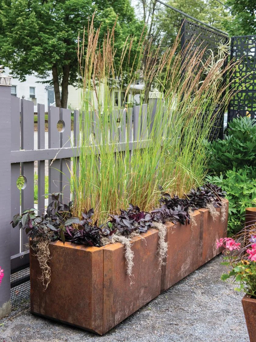 Corten Steel Modular Raised Bed, 2'x6' 2 Corten Steel Modular Raised Bed, 2'x6' - Image 2