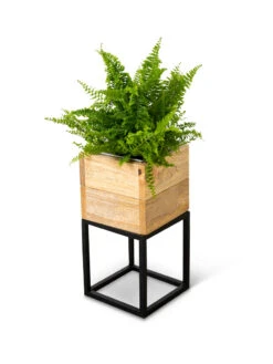 Tartu Elevated Square Planters 17 Tartu Elevated Square Planters -Garden Care Shop 8611004 038