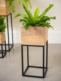 Tartu Elevated Square Planters 13 Tartu Elevated Square Planters -Garden Care Shop 8611005 035