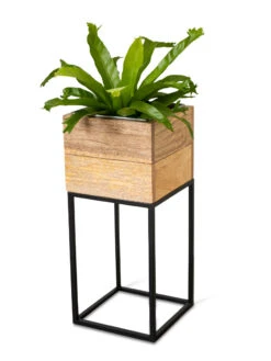 Tartu Elevated Square Planters 18 Tartu Elevated Square Planters -Garden Care Shop 8611005 036