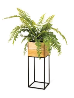 Tartu Elevated Square Planters 16 Tartu Elevated Square Planters -Garden Care Shop 8611006 033