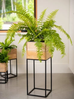 Garden Care Shop -Garden Care Shop 8611006 034