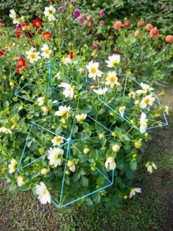 Garden Care Shop -Garden Care Shop 8611129 004 tif