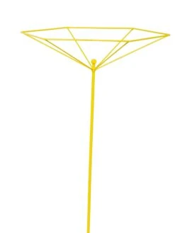 Parasol Plant Supports, Set Of 3 14 Parasol Plant Supports, Set Of 3 -Garden Care Shop 8611129 3844 tif
