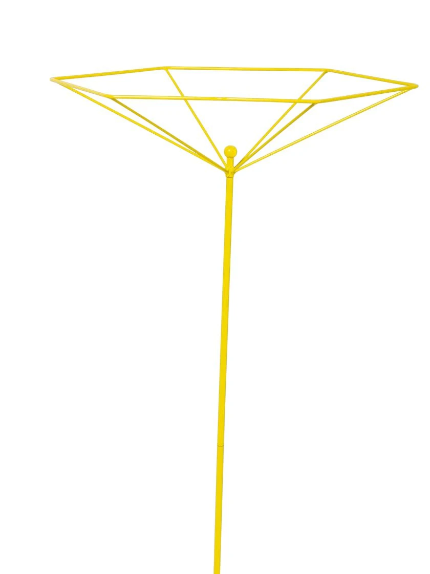 Parasol Plant Supports, Set Of 3 6 Parasol Plant Supports, Set Of 3 - Image 6